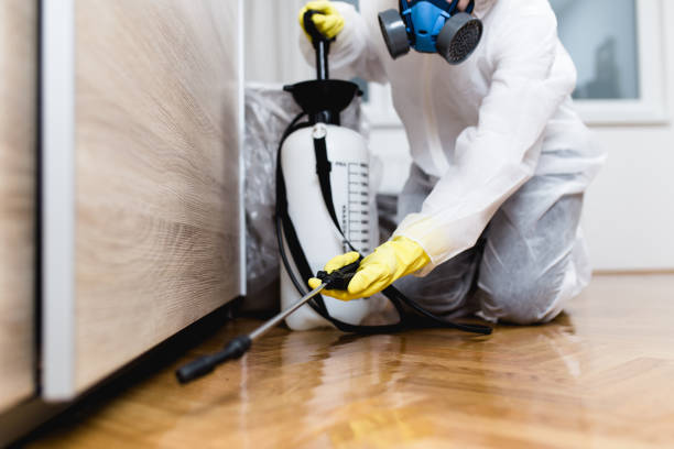 Best Affordable Pest Control Services  in Greenbrier, AR