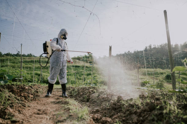 Best Local Pest Control Services  in Greenbrier, AR
