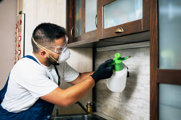 Best Mosquito Control Services  in Greenbrier, AR
