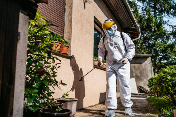 Flea Control Services in Greenbrier, AR