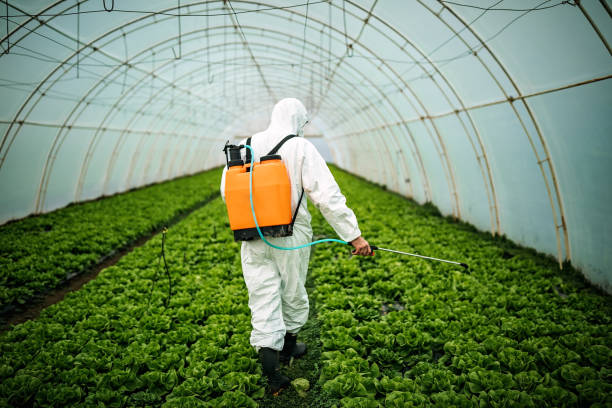Best Pest Inspection Near Me  in Greenbrier, AR