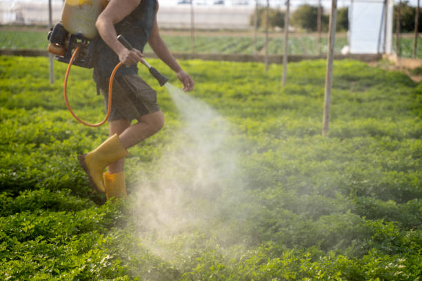 Best Pest Prevention Services  in Greenbrier, AR
