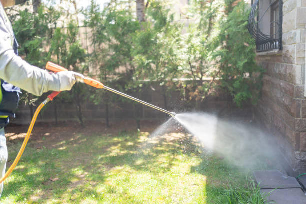 Best Flea Control Services  in Greenbrier, AR
