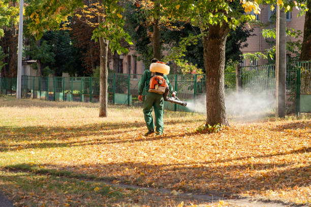 Best Best Pest Control Companies  in Greenbrier, AR