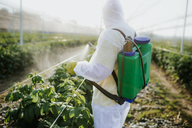 Best Wasp Removal Services  in Greenbrier, AR